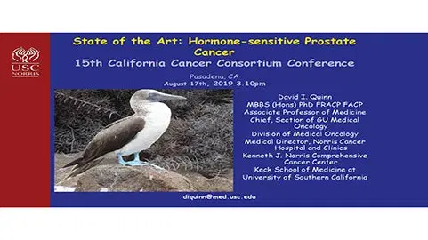 State of the Art - Hormone Sensitive Prostate Cancer