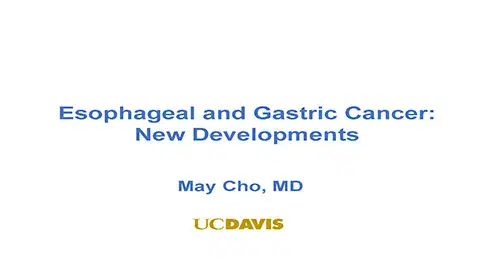Esophageal and Gastric Cancer New Developments