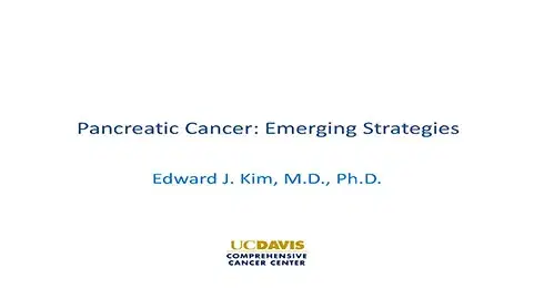 Pancreatic Cancer Emerging Strategies