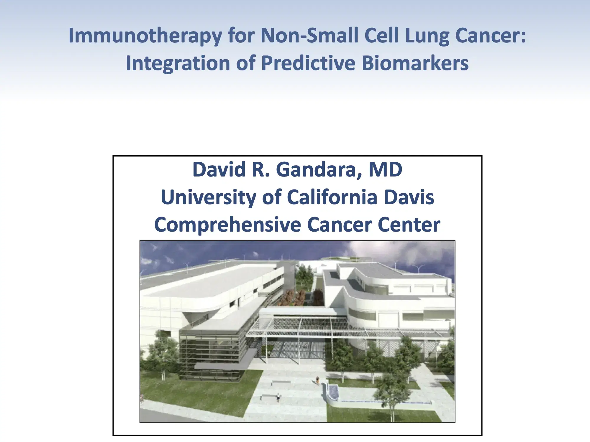 Updates in Immunotherapy for Lung Cancer: Integration of Predictive Biomarkers