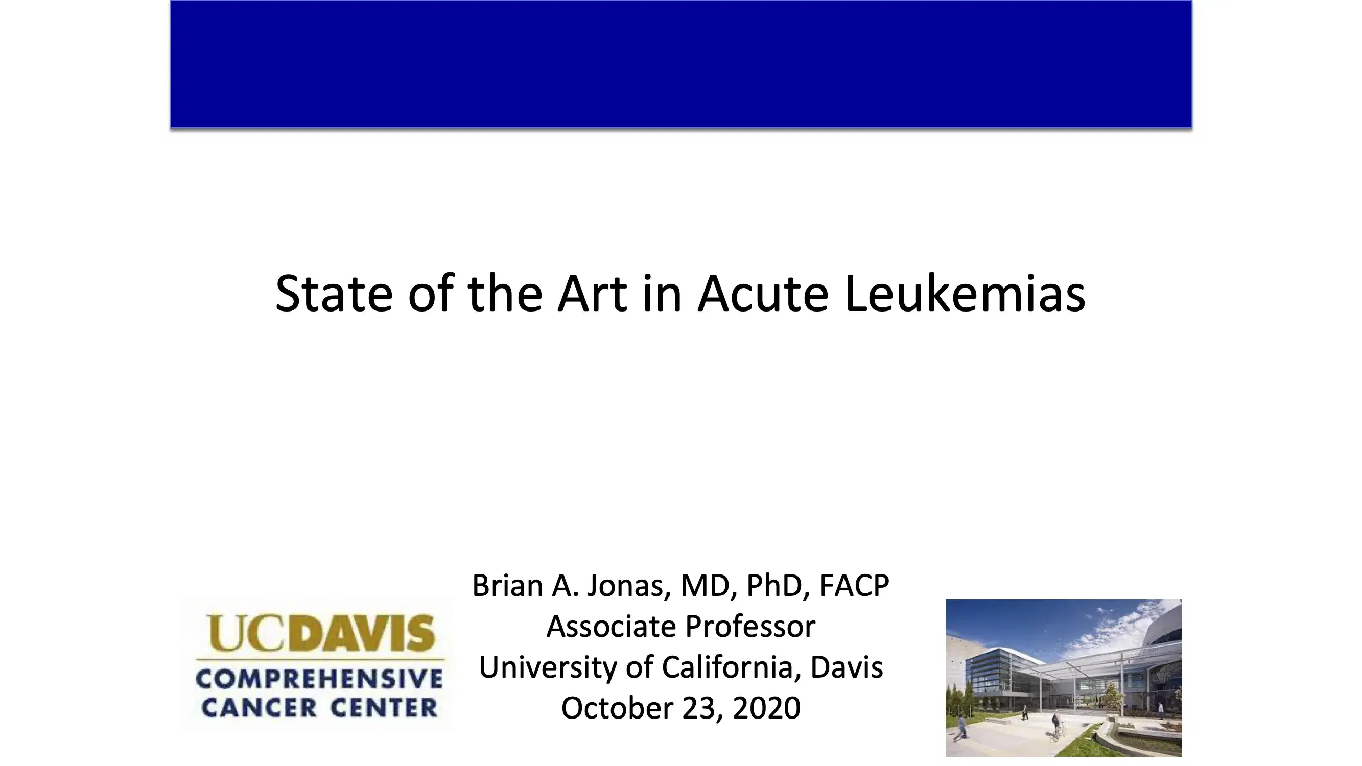 State of the Art in Acute Leukemias