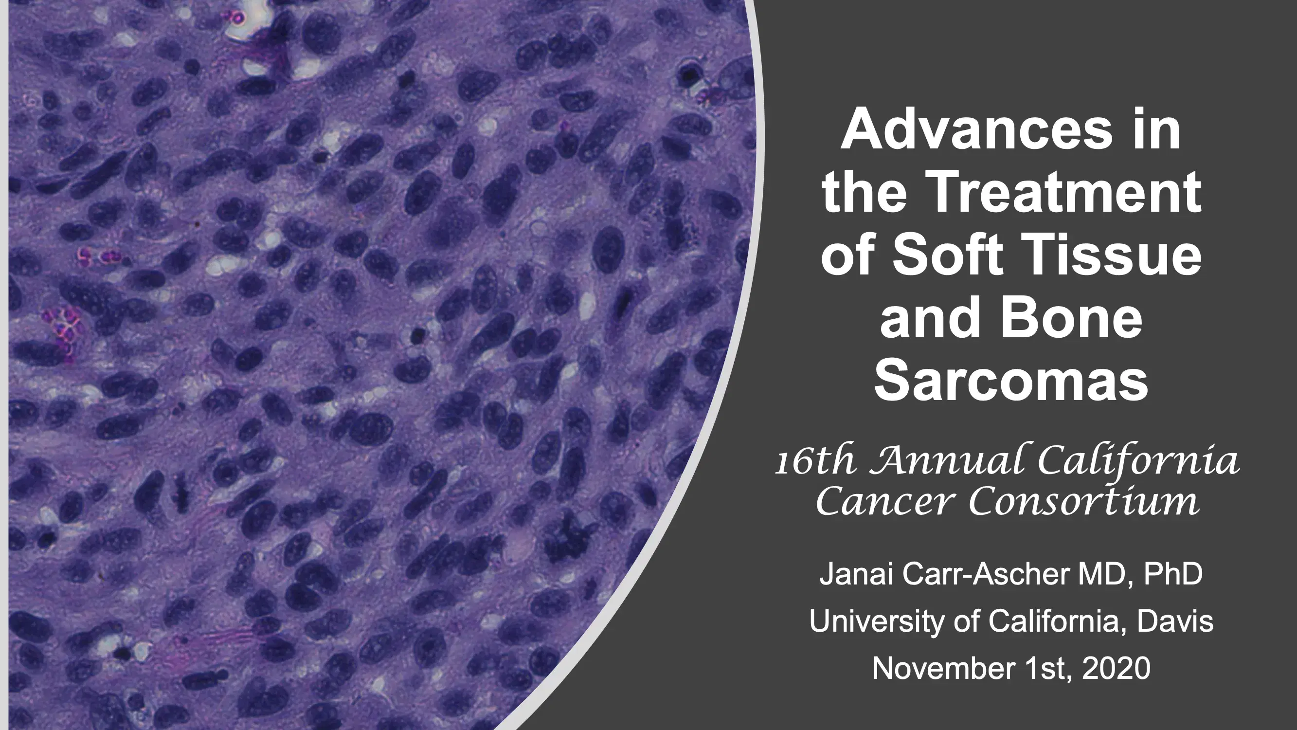 Updates in Sarcoma Therapies