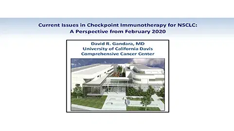 Current Issues in Checkpoint Immunotherapy for NSCLC: A Perspective from February 2020