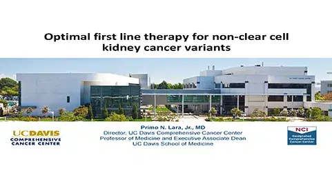 Non-Clear Cell RCC - Emerging Approaches