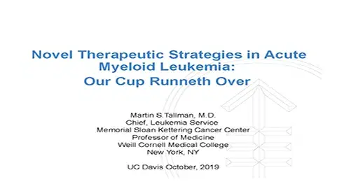 Novel Therapeutic Strategies in Acute Myeloid Leukemia Our Cup Runneth Over