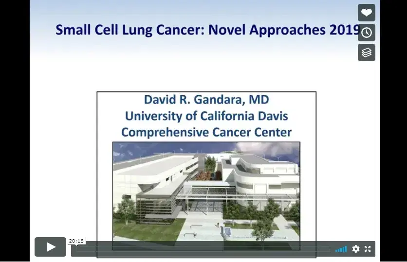 Small Cell Lung Cancer: Novel Approaches 2019