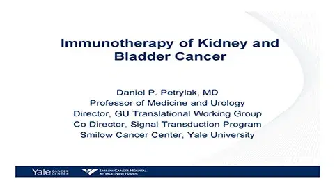 Immunotherapy of Kidney and Bladder Cancer