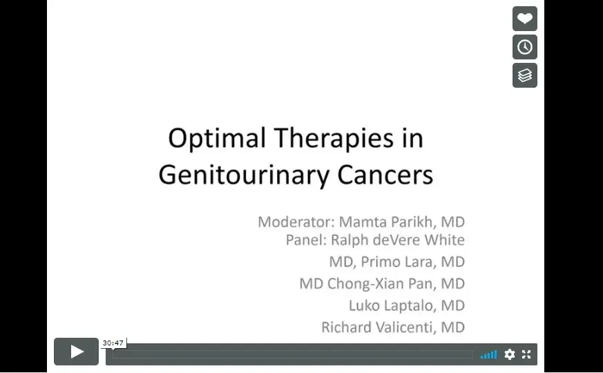 Panel-Optimal Therapies in Genitourinary Cancers