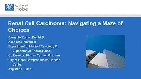 Renal Cell Carcinoma Navigating a Maze of Choices