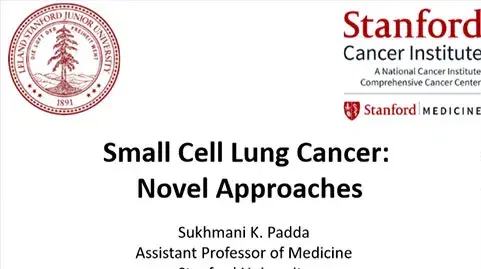 Small Cell Lung Cancer Novel Approaches