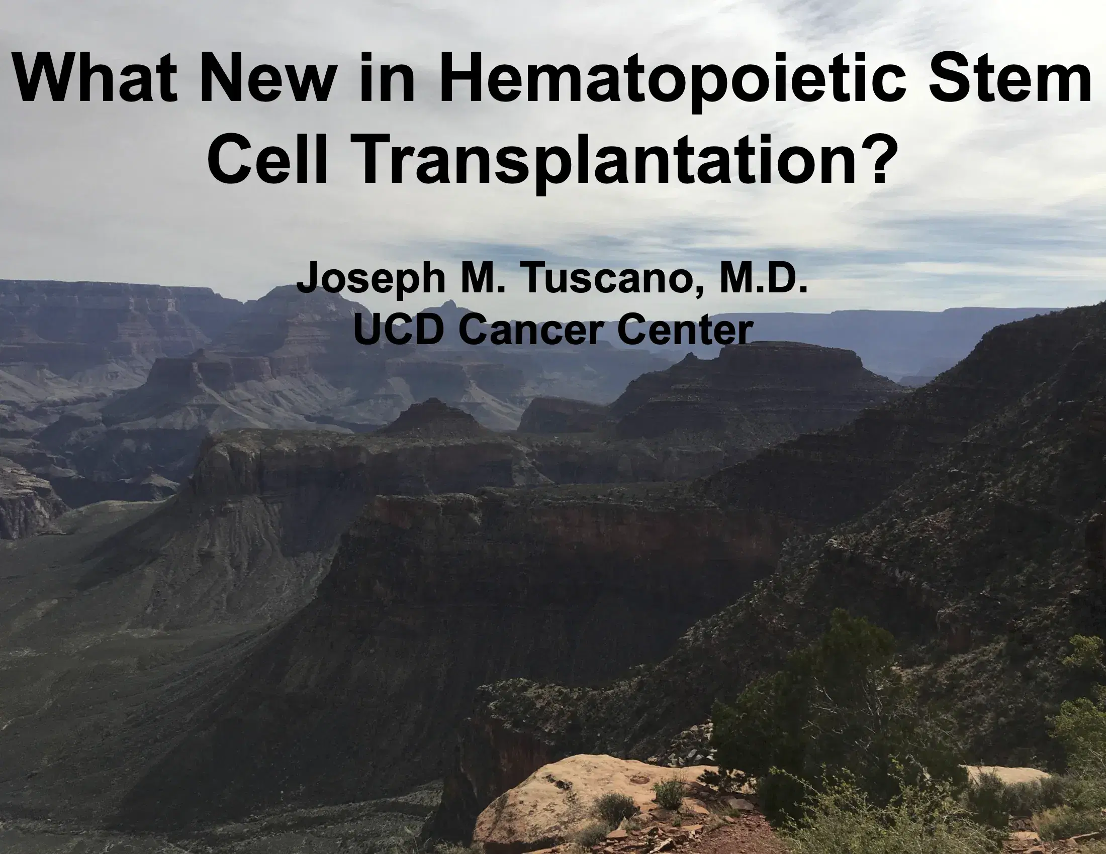 What's New in Hematopoietic Stem Cell Transplantation?