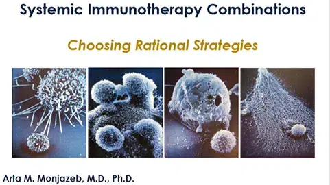 Systemic Immunotherapy Combinations