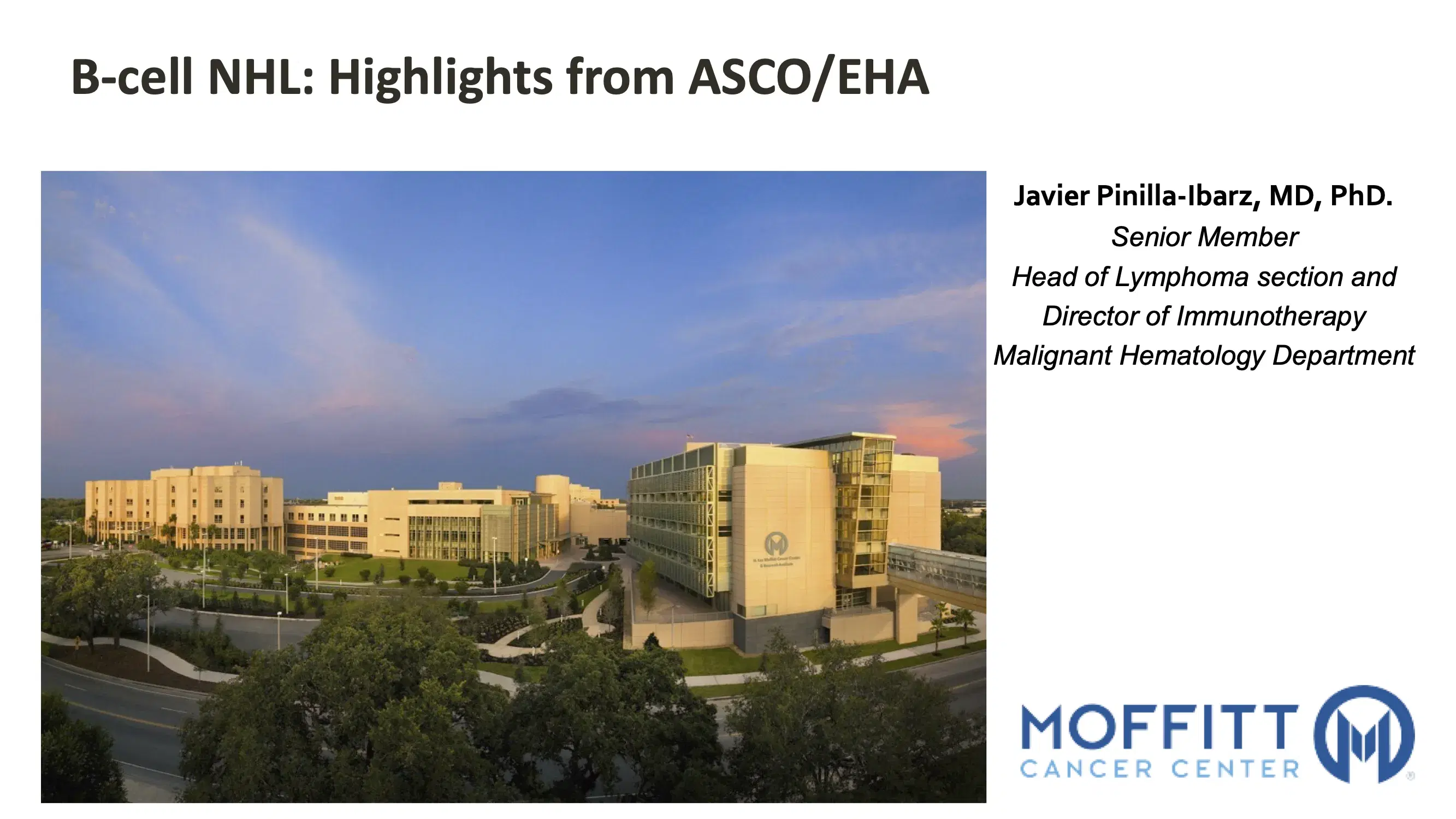 B-cell NHL: Highlights from AACR/ASCO