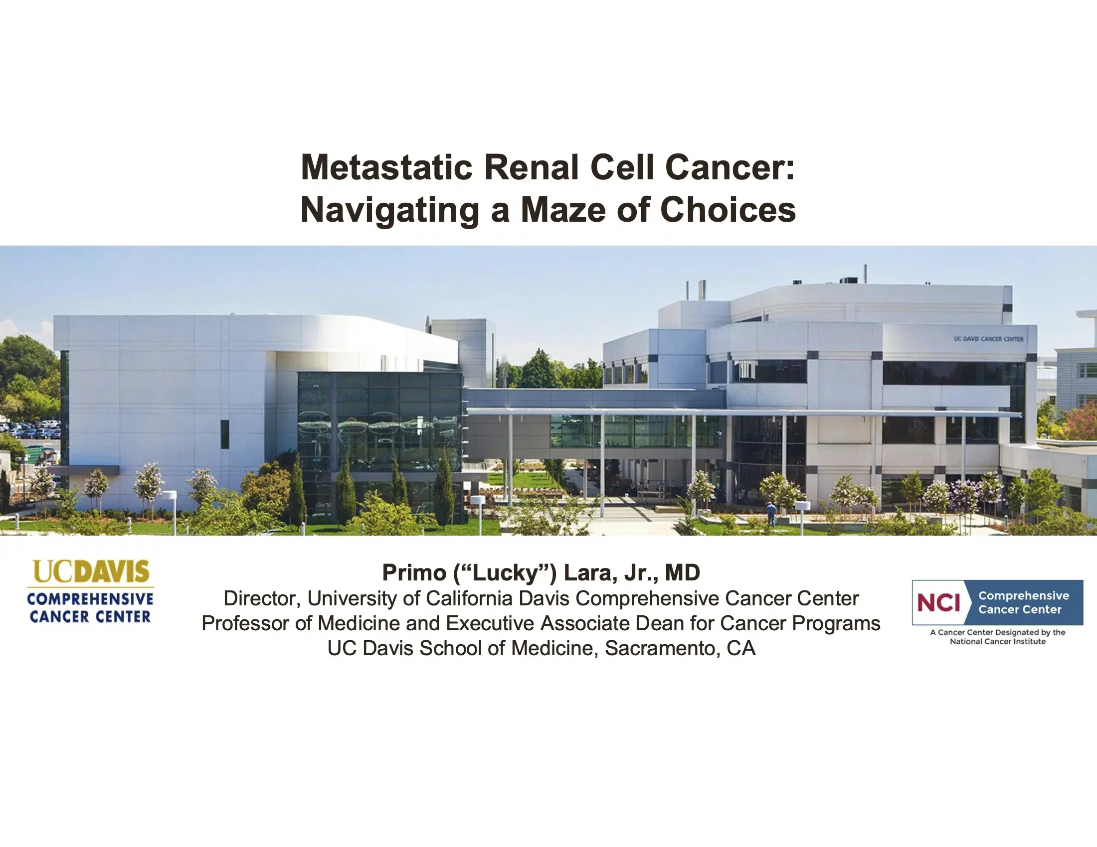 Renal Cell Cancer: Navigating a Maze of Choices