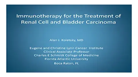 Kidney and Bladder Cancers as Targets for Immunotherapy