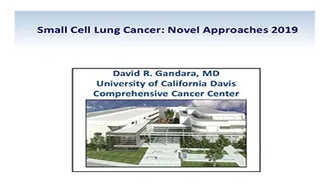 Small Cell Lung Cancer: Novel Approaches 2019