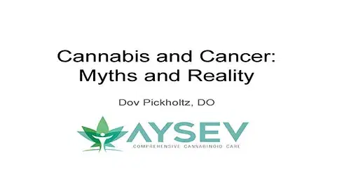 Medical Marijuana in Oncology - Myths and Reality