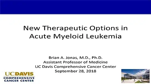New Therapeutic Options in Acute Myeloid Leukemia