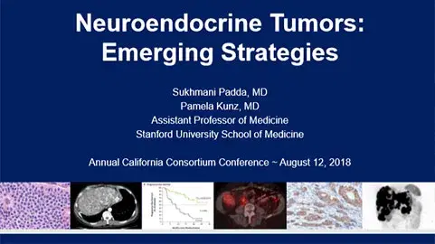 Neuroendocrine Tumors Emerging Strategies