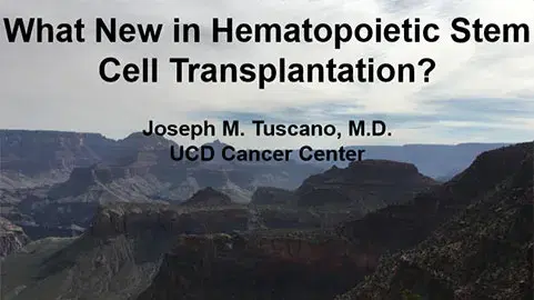 What New in Hematopoietic Stem Cell Transplantation