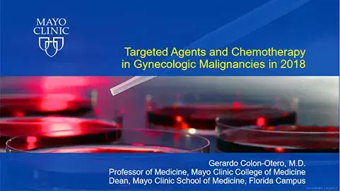 Targeted Agents and Chemotherapy in Gynecologic Malignancies in 2018