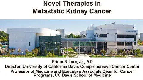 Novel Therapies in Metastatic Kidney Cancer