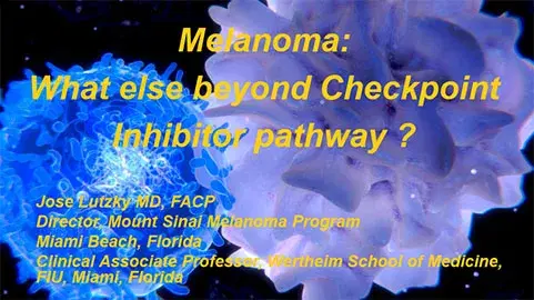 Melanoma: What Else Beyond Checkpoint Inhibitor Pathway?