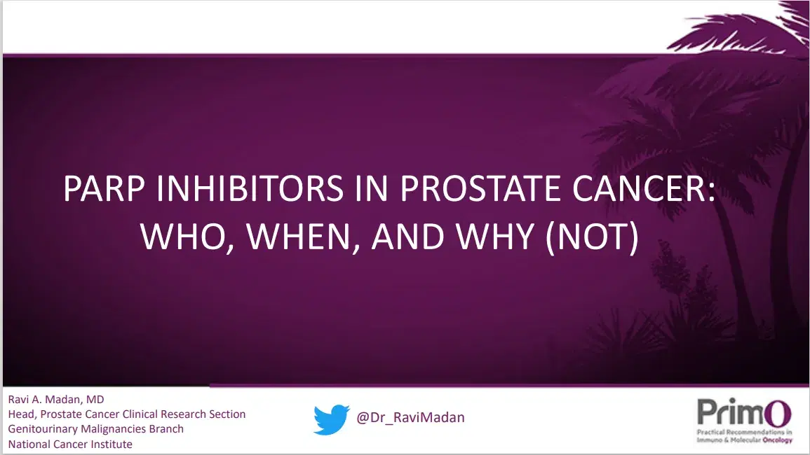 PARP Inhibitors in Prostate Cancer- Who, When, and Why (not)